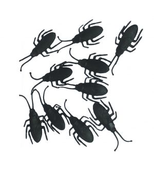  Halloween konfetti - Kackerlacka, 10-pack